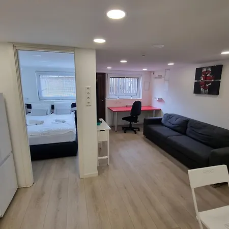 Modern Basement With Huge Terrace, Great View From It And Free Parking *